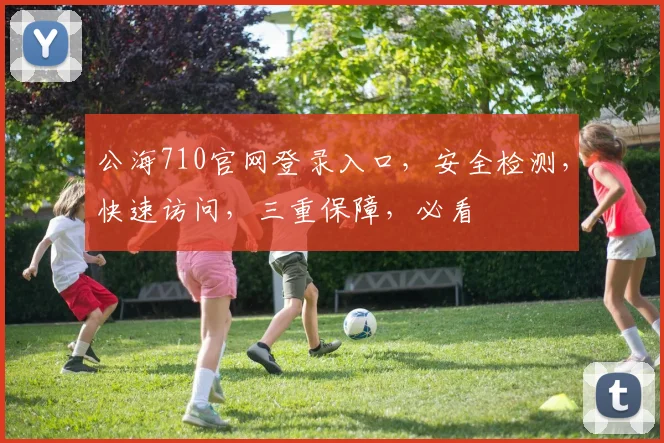 公海710官网登录入口，安全检测，快速访问，三重保障，必看