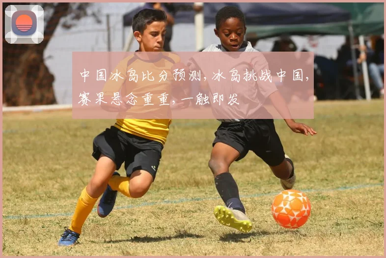 中国冰岛比分预测,冰岛挑战中国,赛果悬念重重,一触即发